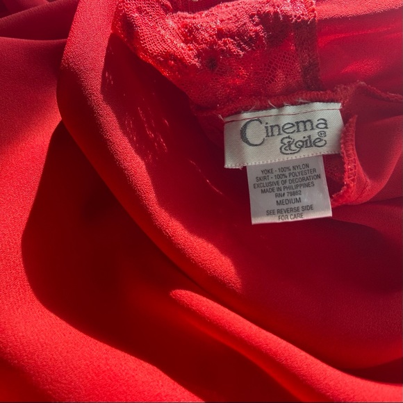 🌹 Cinema Etoile, Vintage Valentine’s Nightgown - Picture 11 of 16
